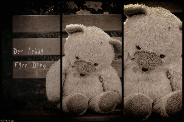 Geschichte: Der Teddy Fynn D’Ling