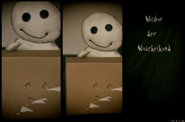 Geschichte: Wilbur der Wuschelhund.