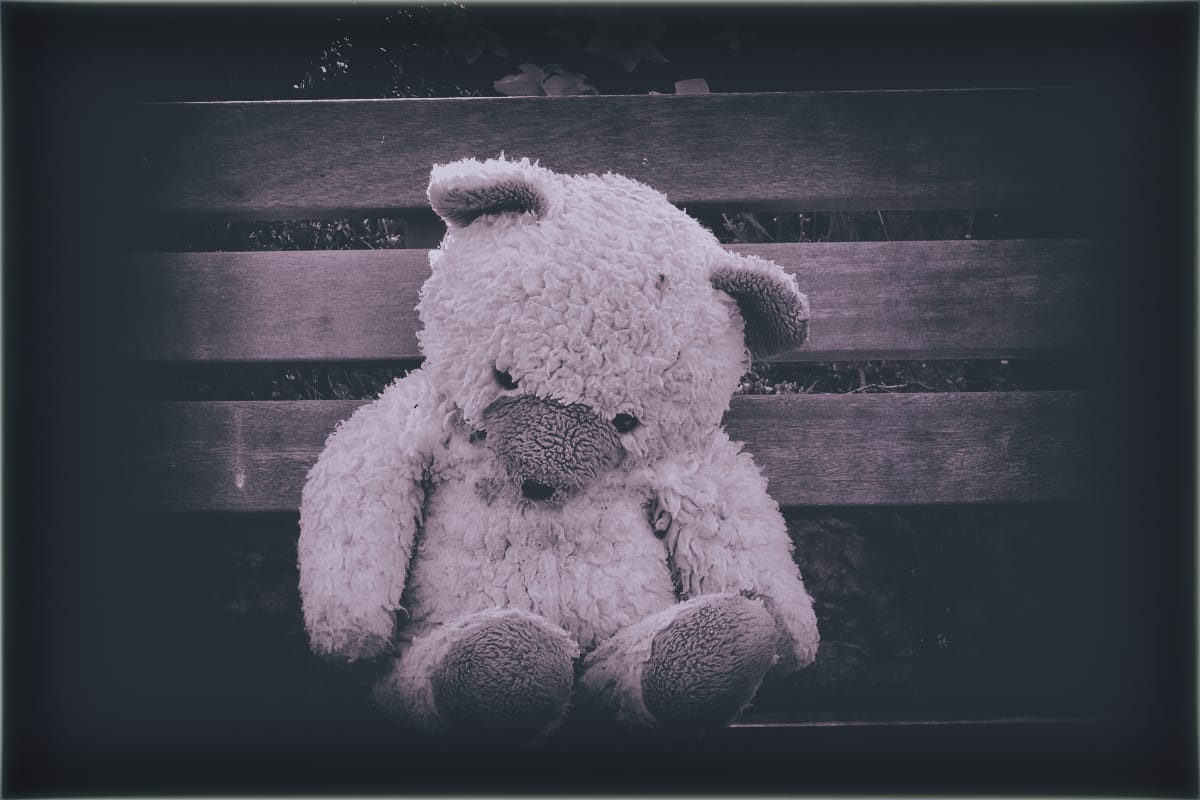Galerie: Der Teddy Fynn D’Ling