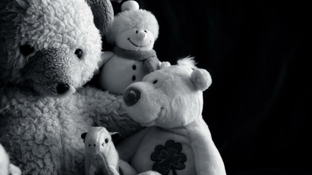 Ein Teil einer Wuschelfynnbärbande