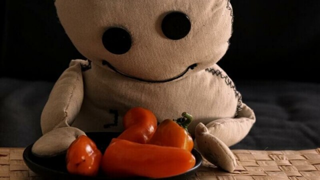 Und hier die Ausbeute der zweiten Ernte.