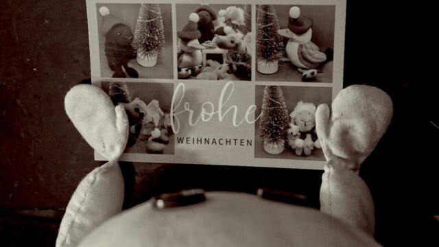 Hier könnt ihr sie etwas genauer sehen.