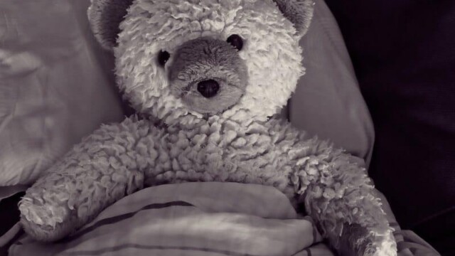 Schlafbär Ein Teddybär liegt bis zur Brust zugedeckt in einem Bett