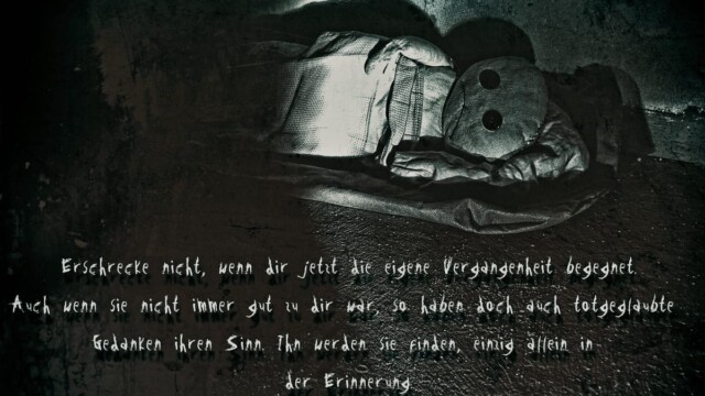 Bildaufschrift: Erschrecke nicht, wenn dir jetzt die eigene Vergangenheit begegnet. Auch wenn sie nicht immer gut zu dir war,  so haben doch auch totgeglaubte Gedanken ihren Sinn. Ihn werden sie finden, einzig allein in der Erinnerung.  Das Wesen liegt mit schmutzigen Handtuch als Zudecke auf einem dünnen ebenfalls verschmutzen Laken auf dem steinigen Boden eines Kellerraums. Von der halbrechten Seite aus fällt ein Lichtschein in den ansonsten dunklen Raum. Das Wesenkörper wirft einen Schatten an die Wand. Das Bild ist in dunkelgrün/braun/Grautönen gehalten. Dazu ist es durch verschiedene Texturen künstlich verschmutzt.