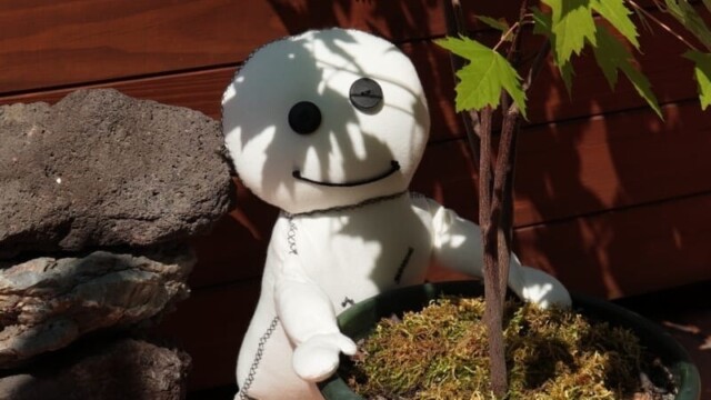 Das Wesen präsentiert hier stolz seinen Freundebaum Bert das A-Horn.  Es steht vor einem Pflanzenttopf im Sonnenschein auf dem Balkon.