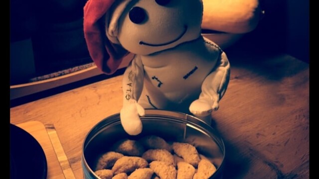 Das Wesen siitzt mit einer Weihnachtsmütze auf dem Kopf auf der Arbeitspallte in der Küche. Vor ihm steht eine Dose frischgebackener Weihnachtsplätzchen. Es scheint dem Betrachter fröhlich lächelnd ein Plätzchen anzubieten.