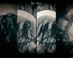 Bildcollage und Manipulation auf der das Wesen zweimal mit halbem Geischt zu sehen ist. Der Focus liegt auf die grauenvolle enstellte Darstellung von Fäden, die als Blut oder Tränenströmen aus den Augen heraustreten lassen.